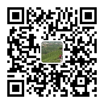 北京南通北暢管道清洗服務(wù)有限責(zé)任公司
